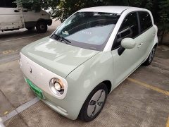 ORA Black Cat Facelift 301km Pet-Lover Edition LFP Battery - ფოტო 1