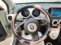 ORA Black Cat Facelift 301km Pet-Lover Edition LFP Battery - ფოტო 11