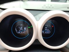 ORA Black Cat Facelift 301km Pet-Lover Edition LFP Battery - ფოტო 12