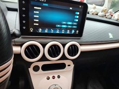 ORA Black Cat Facelift 301km Pet-Lover Edition LFP Battery - ფოტო 13