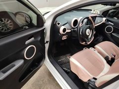 ORA Black Cat Facelift 301km Pet-Lover Edition LFP Battery - ფოტო 16