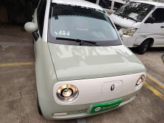 ORA Black Cat Facelift 301km Pet-Lover Edition LFP Battery - ფოტო 3