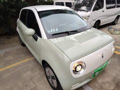 ORA Black Cat Facelift 301km Pet-Lover Edition LFP Battery - ფოტო 4