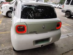 ORA Black Cat Facelift 301km Pet-Lover Edition LFP Battery - ფოტო 6