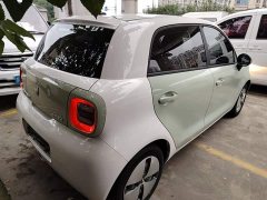 ORA Black Cat Facelift 301km Pet-Lover Edition LFP Battery - ფოტო 7