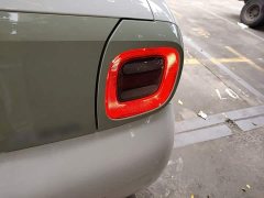ORA Black Cat Facelift 301km Pet-Lover Edition LFP Battery - ფოტო 8