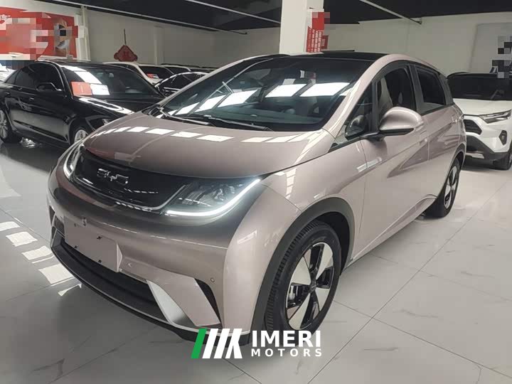 BYD Dolphin 420km Fashion Edition - ავტომობილი ჩინეთიდან