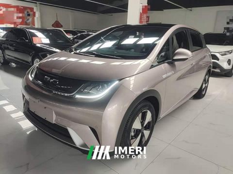 2023 BYD Dolphin 420km Fashion Edition