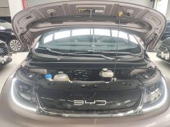 BYD Dolphin 420km Fashion Edition - ფოტო 20