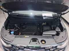 Hyundai Couss 2021 380TGDi Smart Love Luxury Edition LUX Premium - ფოტო 20
