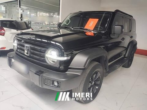 2024 Tank 300 2.0T Challenger - ავტომობილი ჩინეთიდან