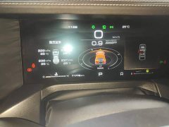 Tank 300 2.0T Challenger - ფოტო 12