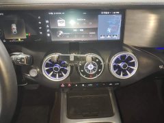 Tank 300 2.0T Challenger - ფოტო 13