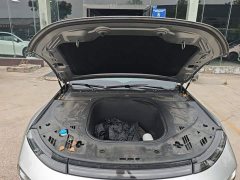 Xpeng Xiaopeng P7 480E - ფოტო 20