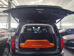 Haval Cool Dog 1.5T DCT AWD Trendy Wilderness Edition - ფოტო 11