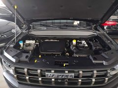Haval Cool Dog 1.5T DCT AWD Trendy Wilderness Edition - ფოტო 12