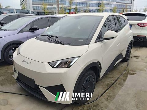 2025 BYD Seagull Smart Drive 305km Vitality Edition - ავტომობილი ჩინეთიდან