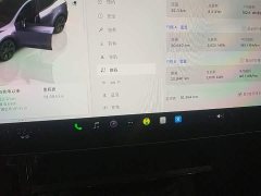 Tesla Model Y Rear-Wheel Drive - ფოტო 12