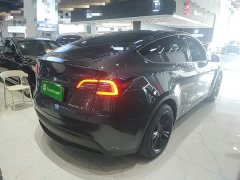 Tesla Model Y Rear-Wheel Drive - ფოტო 7