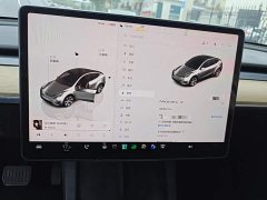 Tesla Model Y Rear-Wheel Drive - ფოტო 12