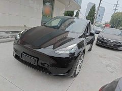 Tesla Model Y Rear-Wheel Drive - ფოტო 2