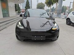 Tesla Model Y Rear-Wheel Drive - ფოტო 3