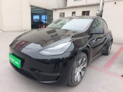 Tesla Model Y Long Range All-Wheel Drive - ფოტო 1