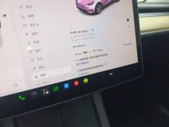 Tesla Model Y Long Range All-Wheel Drive - ფოტო 12