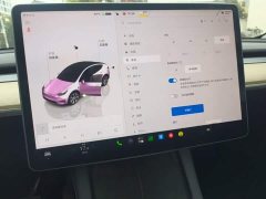 Tesla Model Y Long Range All-Wheel Drive - ფოტო 13