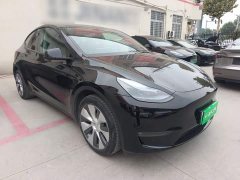 Tesla Model Y Long Range All-Wheel Drive - ფოტო 4