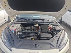 BYD Dolphin 06 DM-i Smart Drive 120KM Deluxe - ფოტო 20