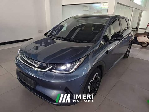 2025 BYD Dolphin Smart Drive 420km Freedom Edition - ავტომობილი ჩინეთიდან