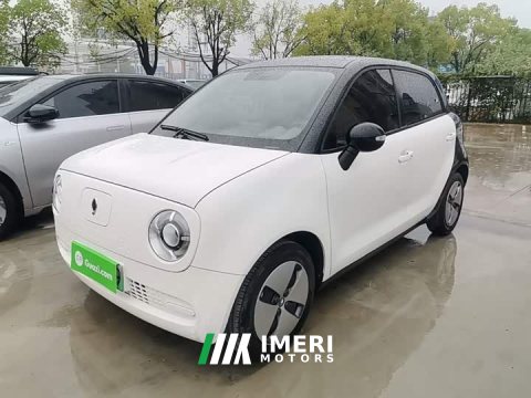 2021 ORA Black Cat 301km Base - ავტომობილი ჩინეთიდან
