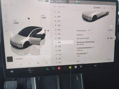 Tesla Model Y Rear-Wheel Drive - ფოტო 12