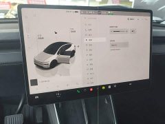 Tesla Model Y Rear-Wheel Drive - ფოტო 13