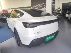 Tesla Model Y Rear-Wheel Drive - ფოტო 5