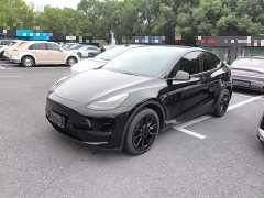 Tesla Model Y Standard Range RWD - ფოტო 1