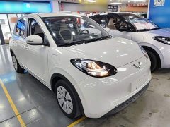 Wuling Binguo 333km Quick Enjoy Edition - ფოტო 4
