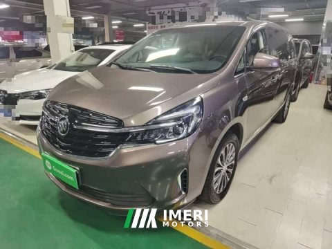2021 Buick GL8 Land Business Class 652T Luxury - ავტომობილი ჩინეთიდან