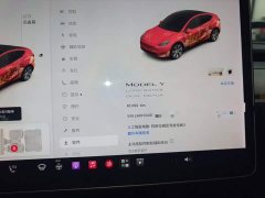 Tesla Model Y Long Range All-Wheel Drive - ფოტო 7