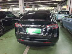 Tesla Model Y Long Range All-Wheel Drive - ფოტო 2