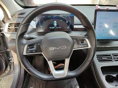 BYD Destroyer 05 Glory Edition DM-i 55KM Luxury - ფოტო 11