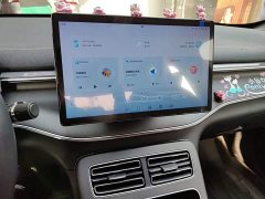 BYD Destroyer 05 Glory Edition DM-i 55KM Luxury - ფოტო 13