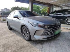 BYD Destroyer 05 Glory Edition DM-i 55KM Luxury - ფოტო 4
