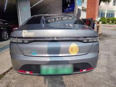 BYD Destroyer 05 Glory Edition DM-i 55KM Luxury - ფოტო 6
