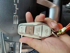 BYD Destroyer 05 Glory Edition DM-i 55KM Luxury - ფოტო 9