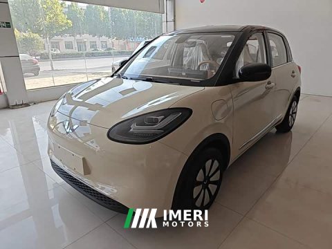 2026 Wuling Binguo 2025 333km Joy Edition - ავტომობილი ჩინეთიდან