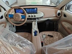 Wuling Binguo 2025 333km Joy Edition - ფოტო 10