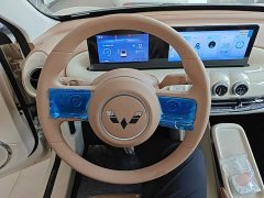 Wuling Binguo 2025 333km Joy Edition - ფოტო 11