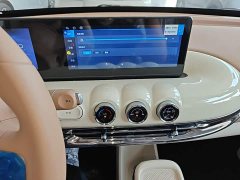 Wuling Binguo 2025 333km Joy Edition - ფოტო 13